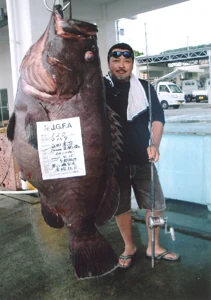JGFA日本記録 マハタ120.00kg・全長186cm を釣り上げた吉田幸治（2011年4月25日・沖縄県与那国島沖）
