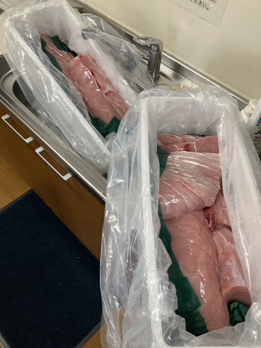 Blocks of butchered marlin packed in ice in a foam box on arrival